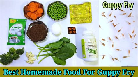 best food for guppies